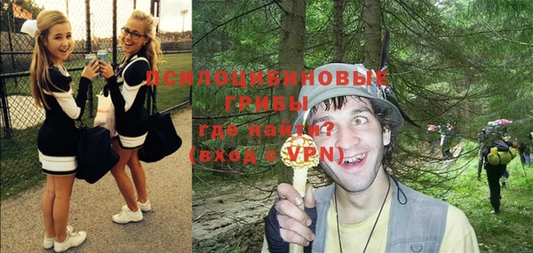 твердый Осташков