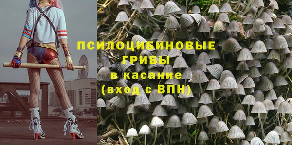 ПСИЛОЦИБИНОВЫЕ ГРИБЫ Нягань