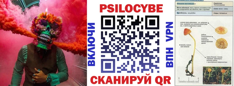 Псилоцибиновые грибы Psilocybine cubensis  Удомля 