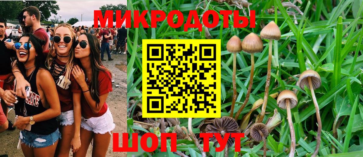 Галлюциногенные грибы Cubensis  Вход с VPN  Удомля  Галлюциногенные грибы Psilocybe 