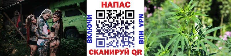 Шишки марихуана White Widow  сколько стоит  Удомля 